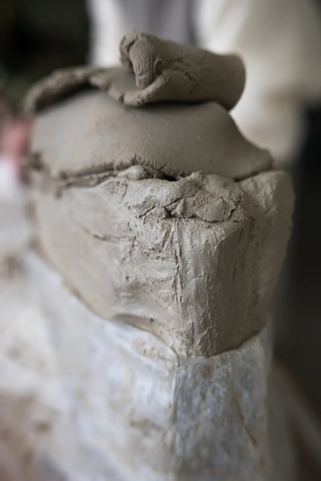 Carole Fraile: photograph by Jordan Sapally (17/41)
