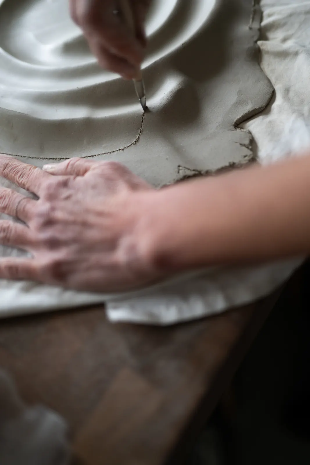 Carole Fraile: photograph by Jordan Sapally (22/41)
