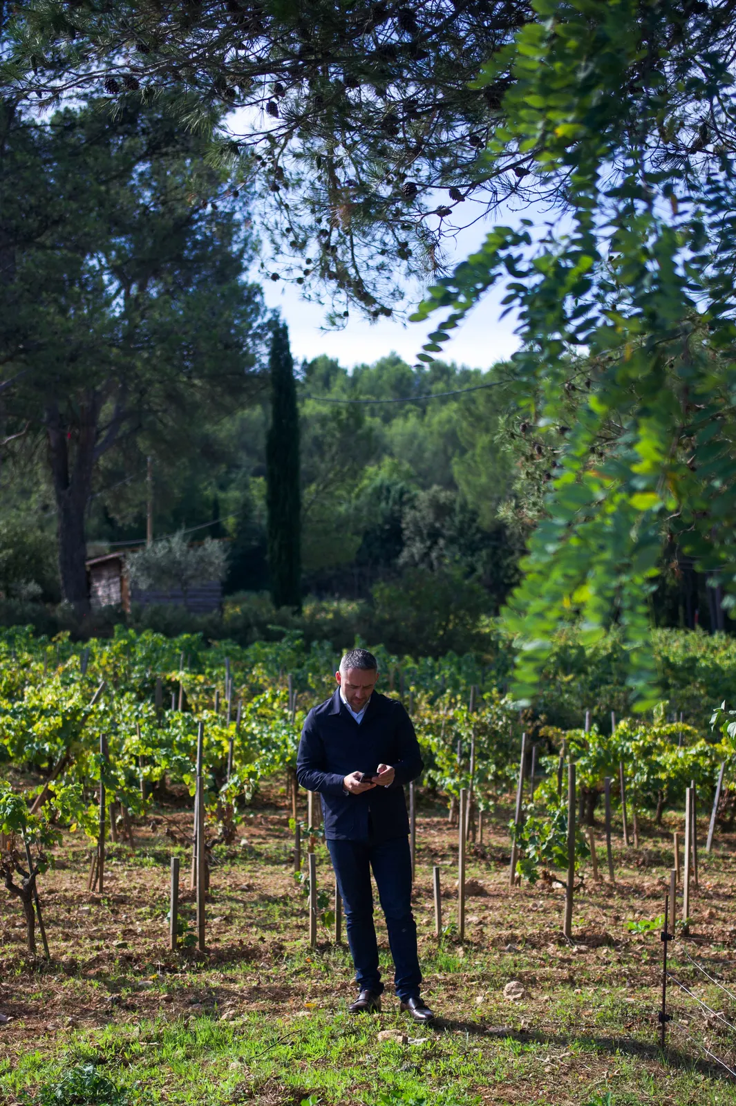 Château Simone: photograph by Jordan Sapally (174/245)