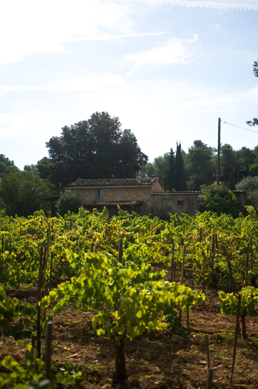 Château Simone: photograph by Jordan Sapally (175/245)