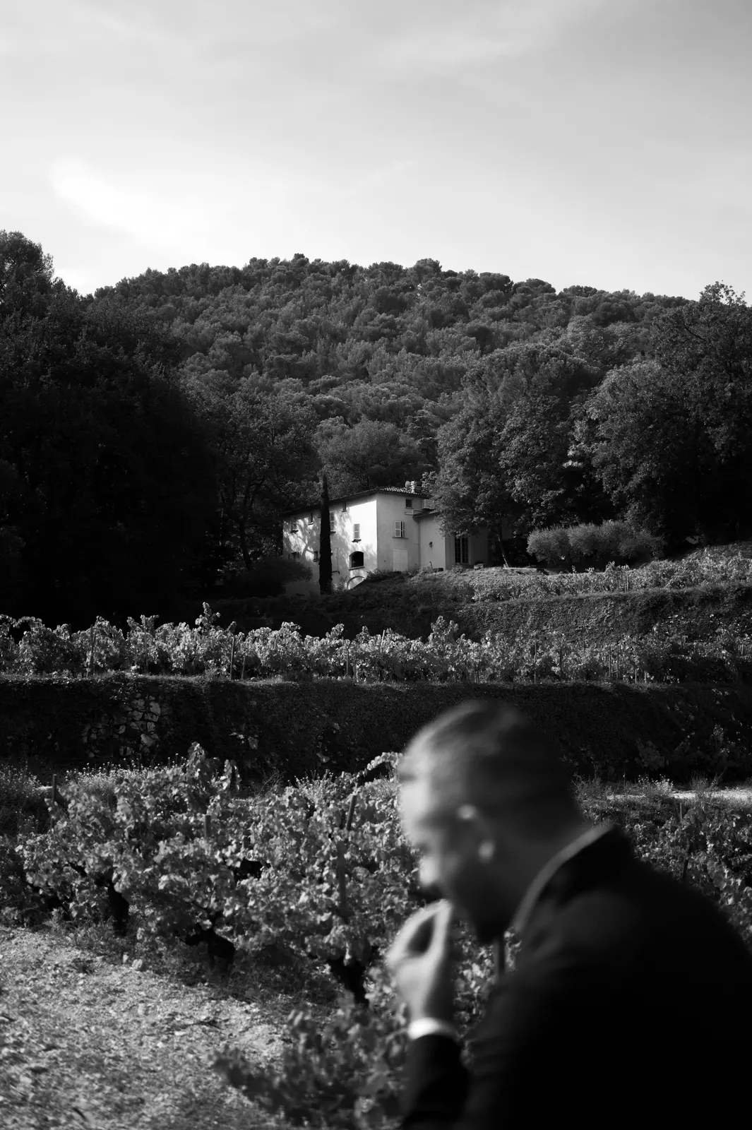 Château Simone: photograph by Jordan Sapally (204/245)