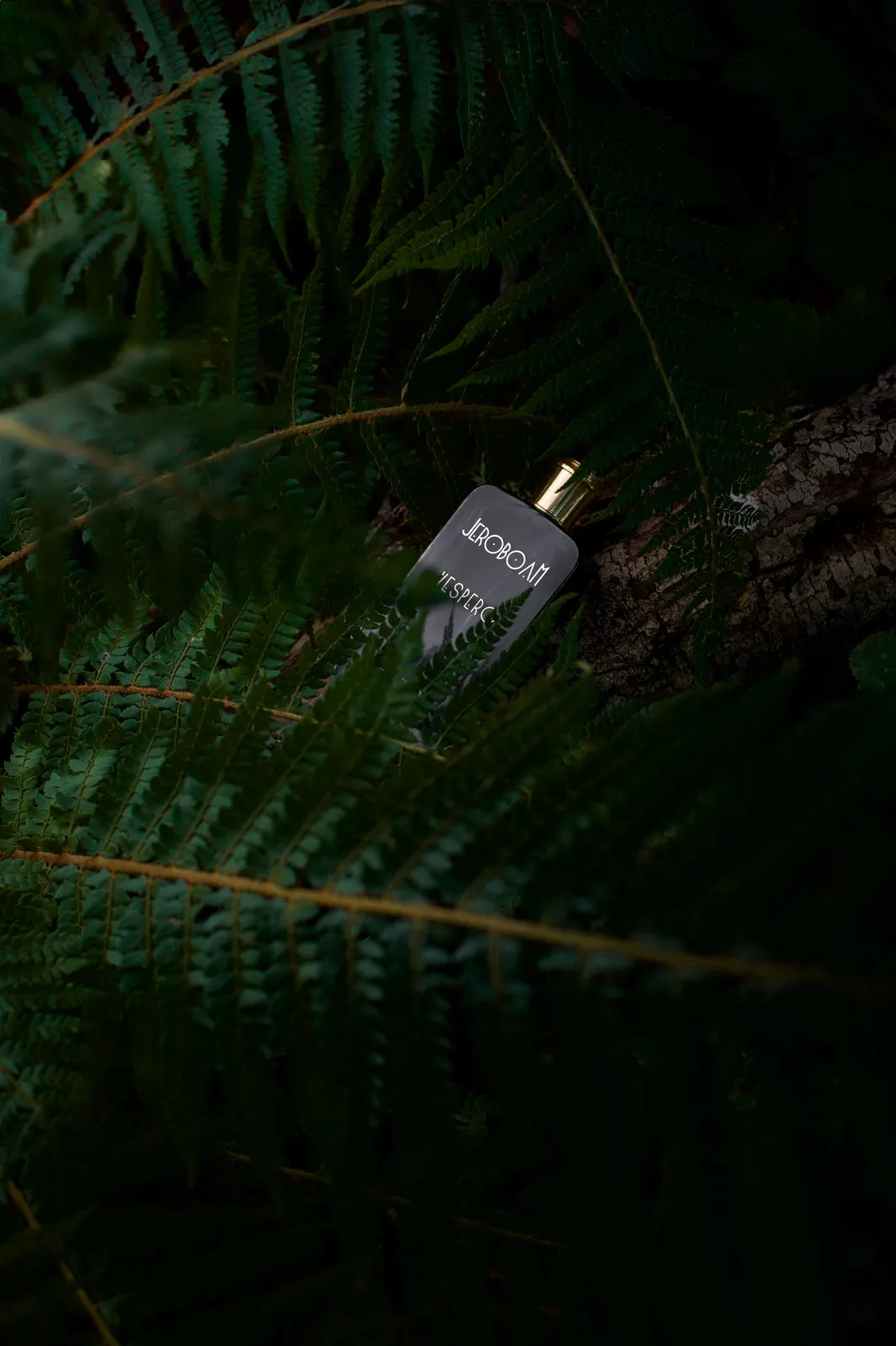 Jeroboam : photographie de Jordan Sapally (4/106)