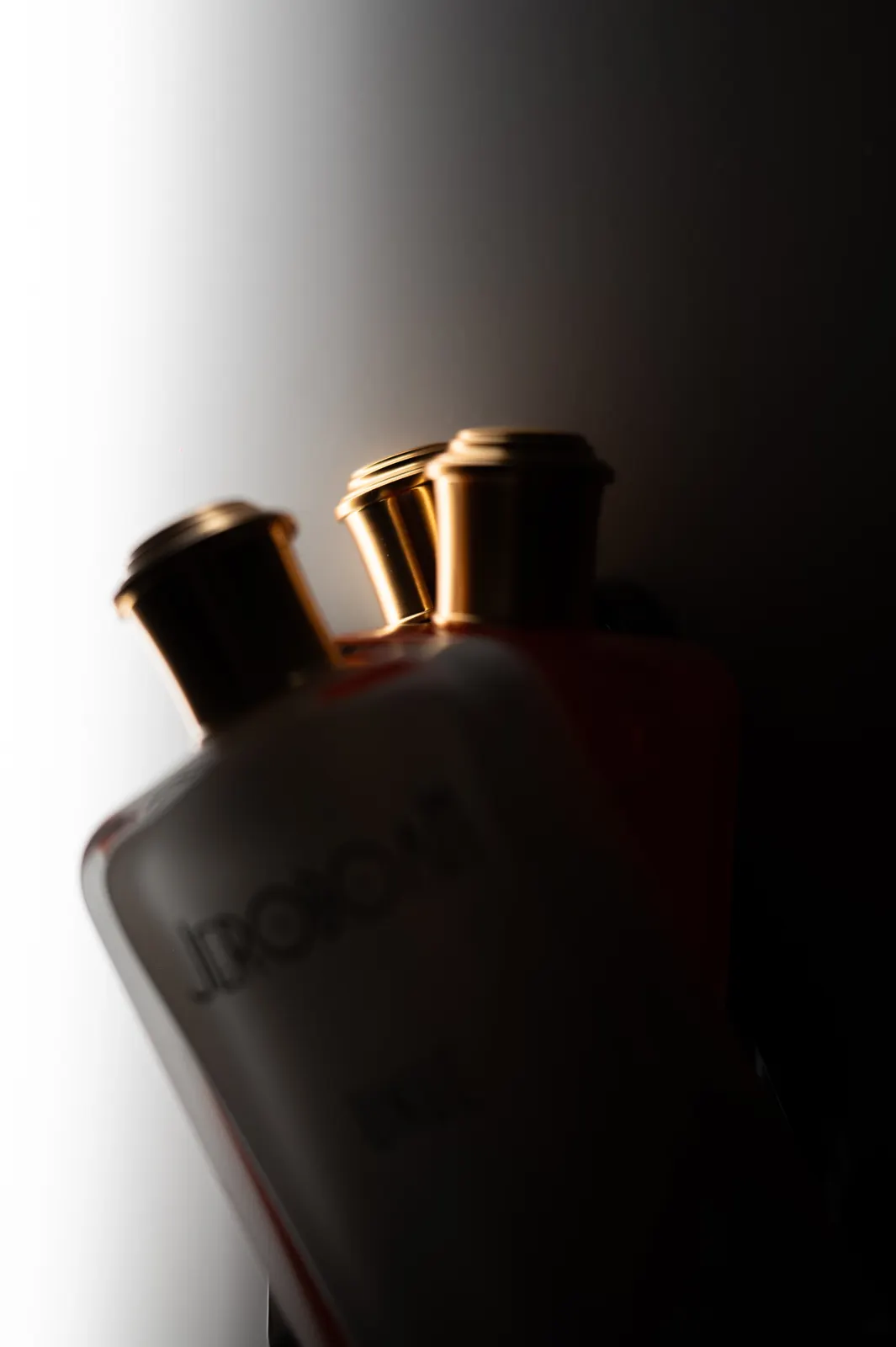 Jeroboam : photographie de Jordan Sapally (34/106)