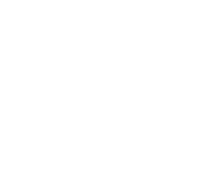 Le Louis XV