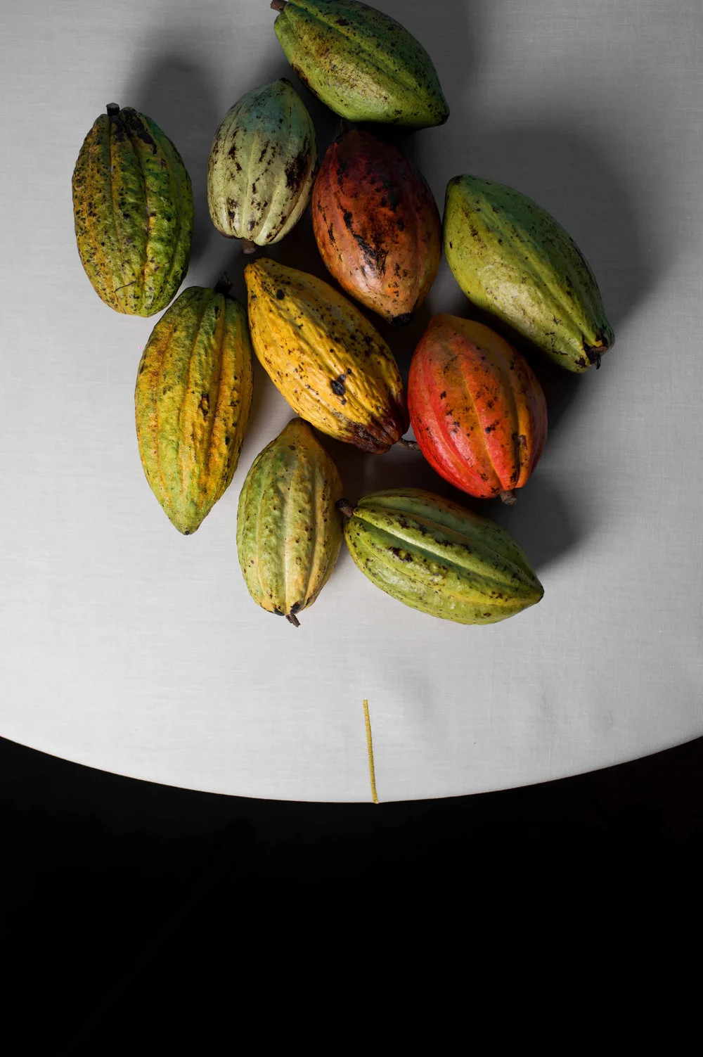 Alain Ducasse at Morpheus, Macau: photograph by Jordan Sapally (6/113)