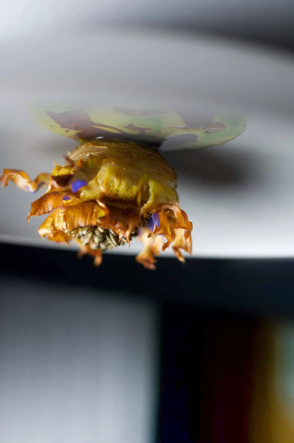 Alain Ducasse At The Dorchester, London: photograph by Jordan Sapally (45/63)