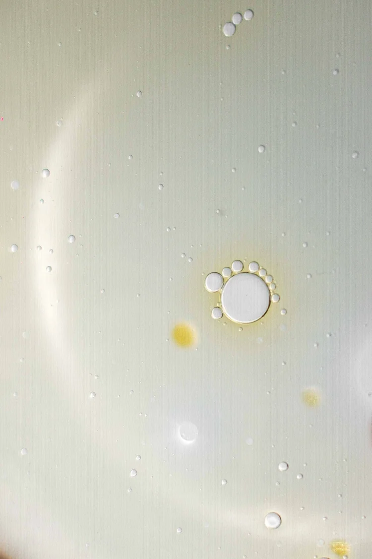 Algae Cooking Club, New York : photographie de Jordan Sapally (14/14)