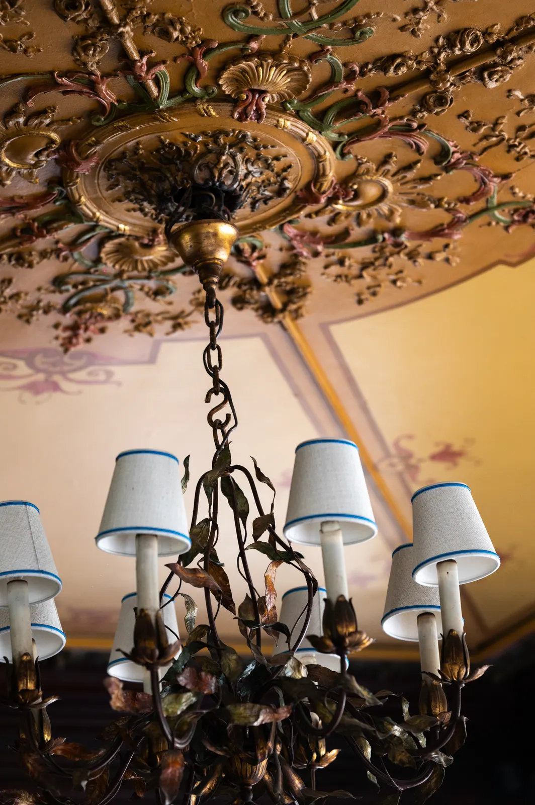 Au Petit Riche, Paris : photographie de Jordan Sapally (49/106)