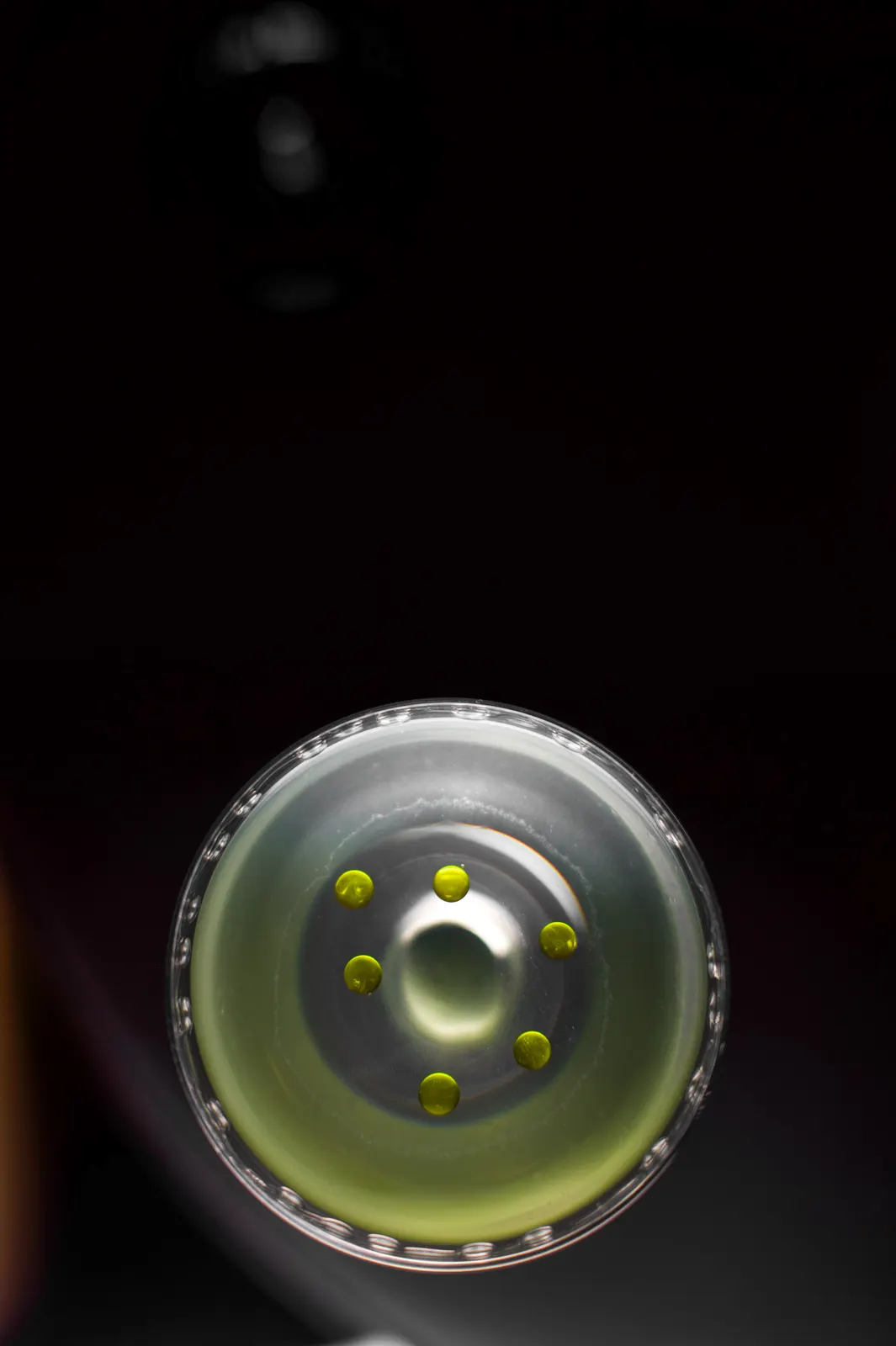 Bar Joséphine, Paris : photographie de Jordan Sapally (92/122)