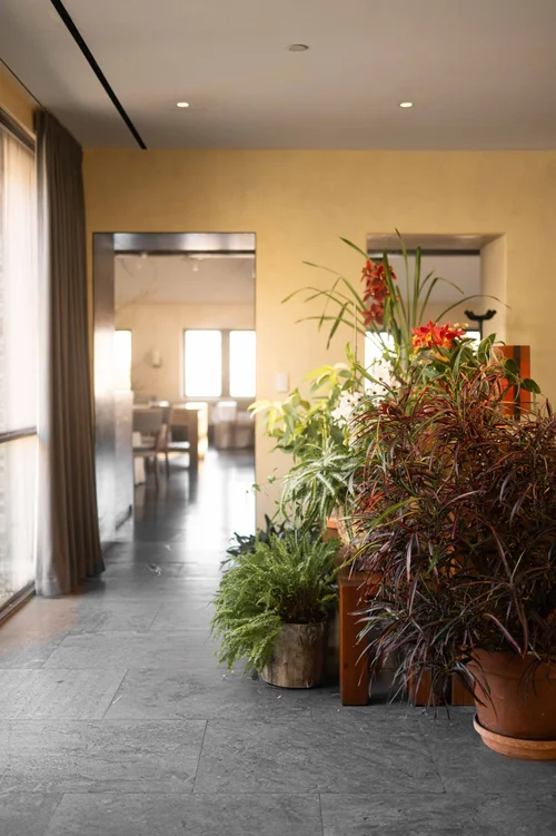 Blue Hill at Stone Barns, New York: photograph by Jordan Sapally (4/156)