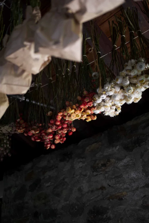 Blue Hill at Stone Barns, New York: photograph by Jordan Sapally (114/156)
