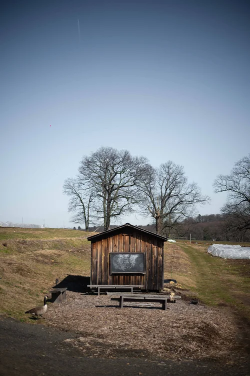 Blue Hill at Stone Barns, New York: photograph by Jordan Sapally (24/156)