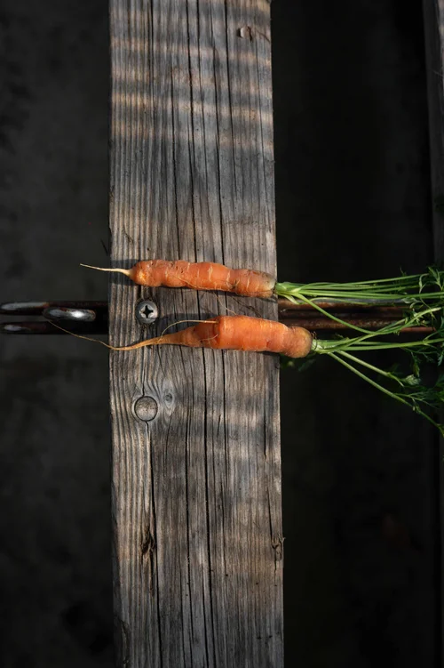 Blue Hill at Stone Barns, New York: photograph by Jordan Sapally (35/156)
