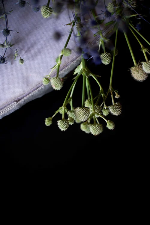Blue Hill at Stone Barns, New York: photograph by Jordan Sapally (82/156)