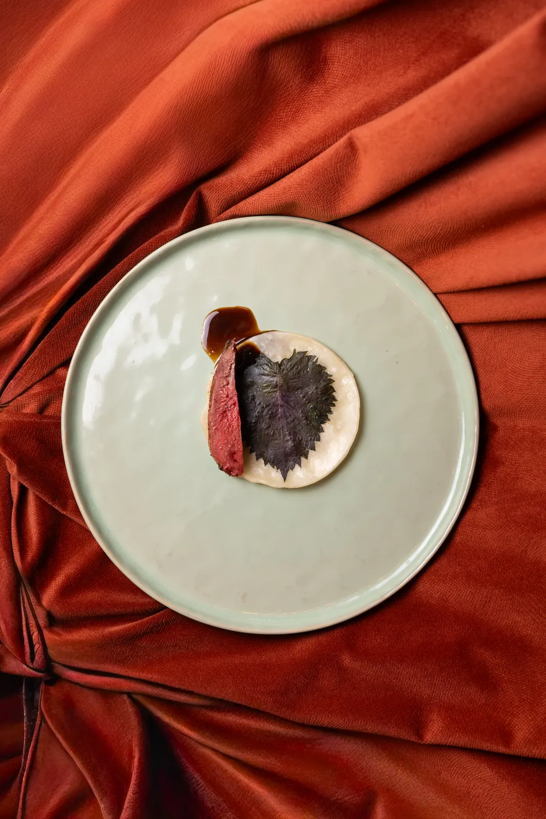 Caravane Palace, Rennes : photographie de Jordan Sapally (120/131)