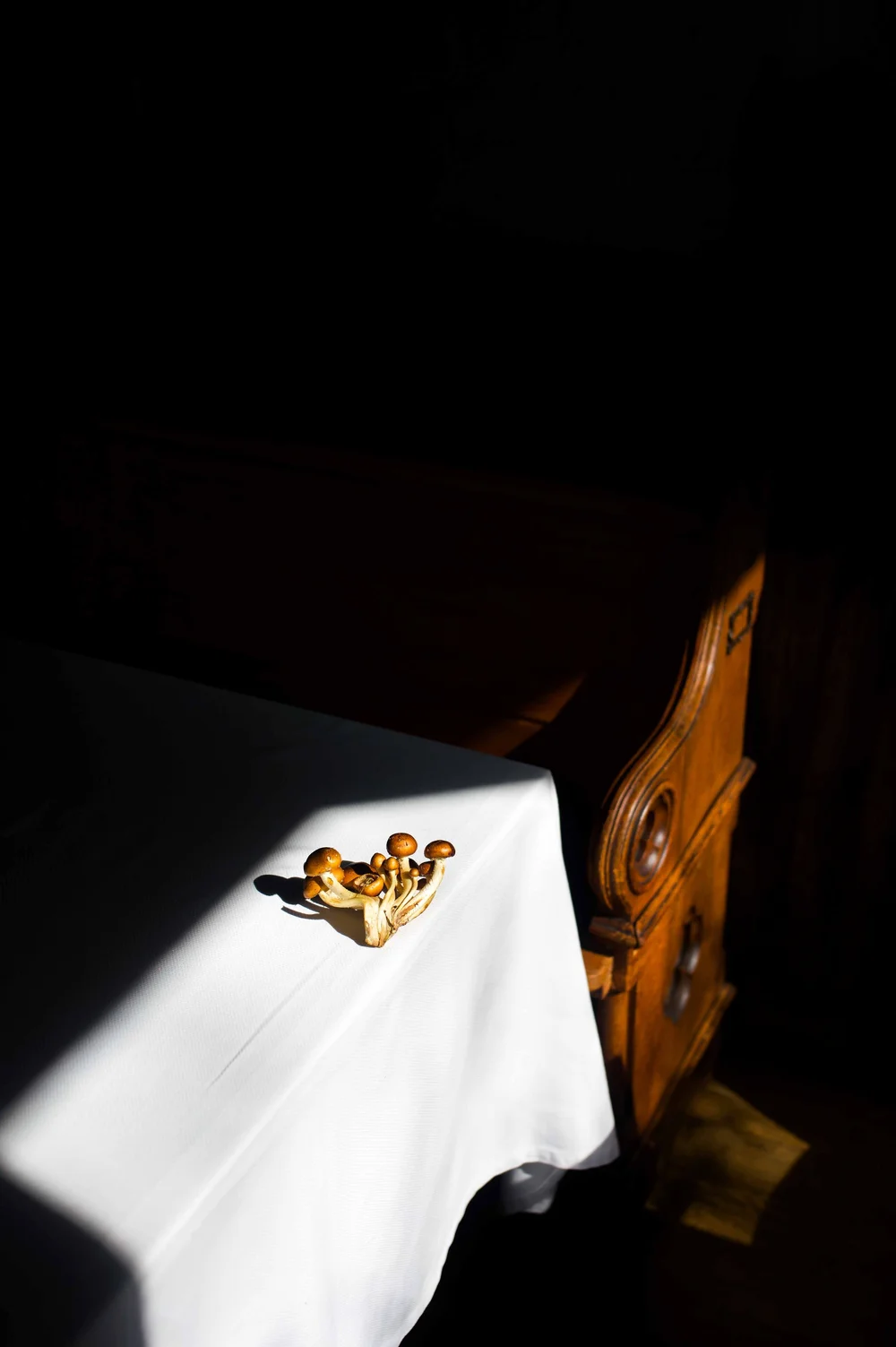 Clover Hill, New York: photograph by Jordan Sapally (14/93)