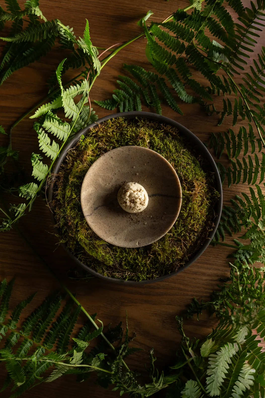 Complices, Dax: photograph by Jordan Sapally (30/116)