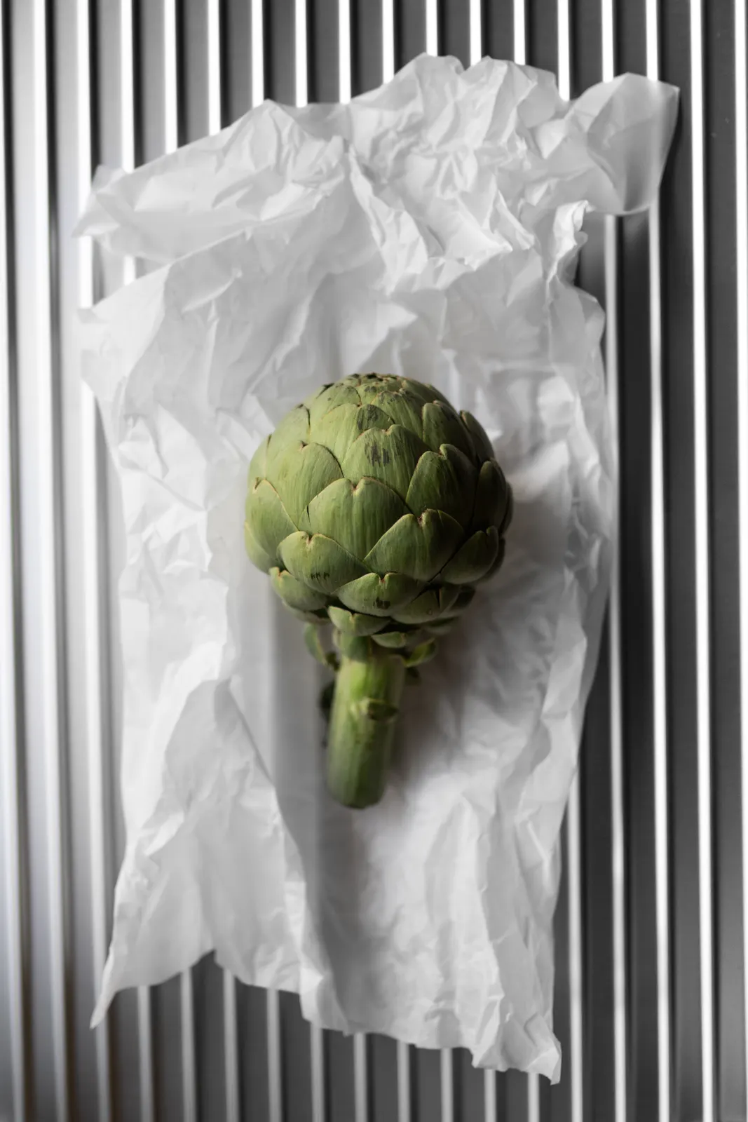Complices, Dax: photograph by Jordan Sapally (71/116)