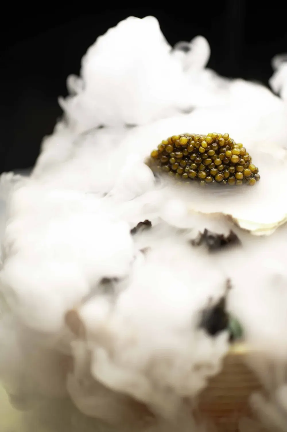 Dom Perignon - Pairing at Le Meurice, Paris : photographie de Jordan Sapally (10/42)