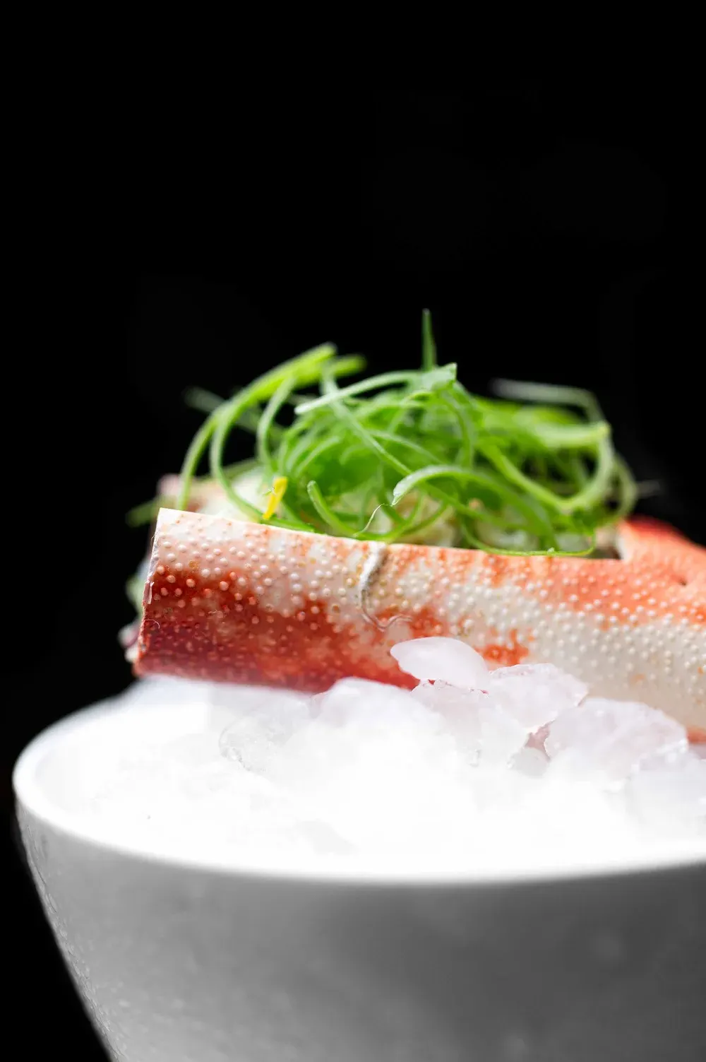 Dom Perignon - Pairing at Le Meurice, Paris : photographie de Jordan Sapally (21/42)