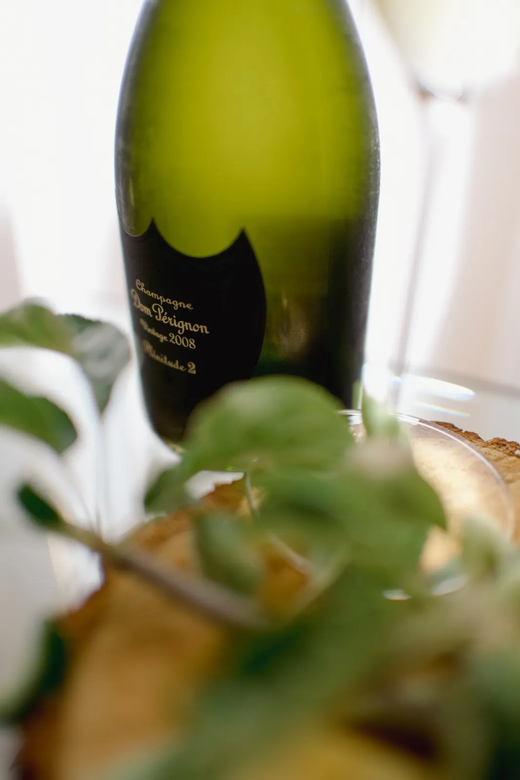 Dom Perignon x CIA (Mentorship), Reims : photographie de Jordan Sapally (21/58)
