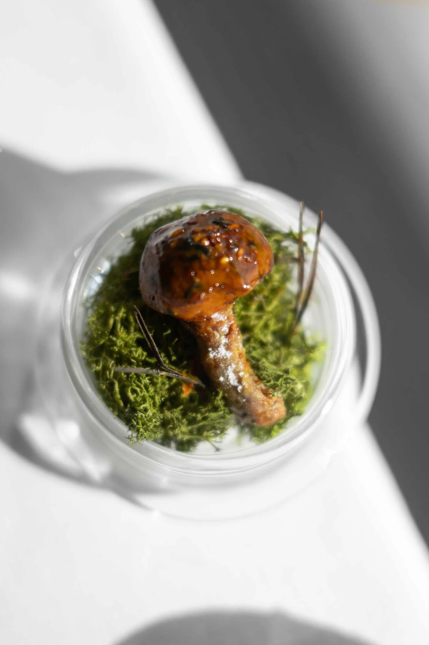 Esterre by Alain Ducasse, Tokyo : photographie de Jordan Sapally (48/125)