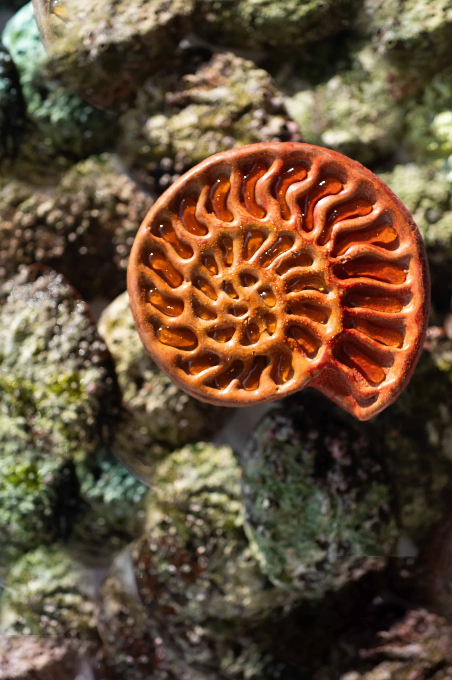 Esterre by Alain Ducasse, Tokyo : photographie de Jordan Sapally (55/125)