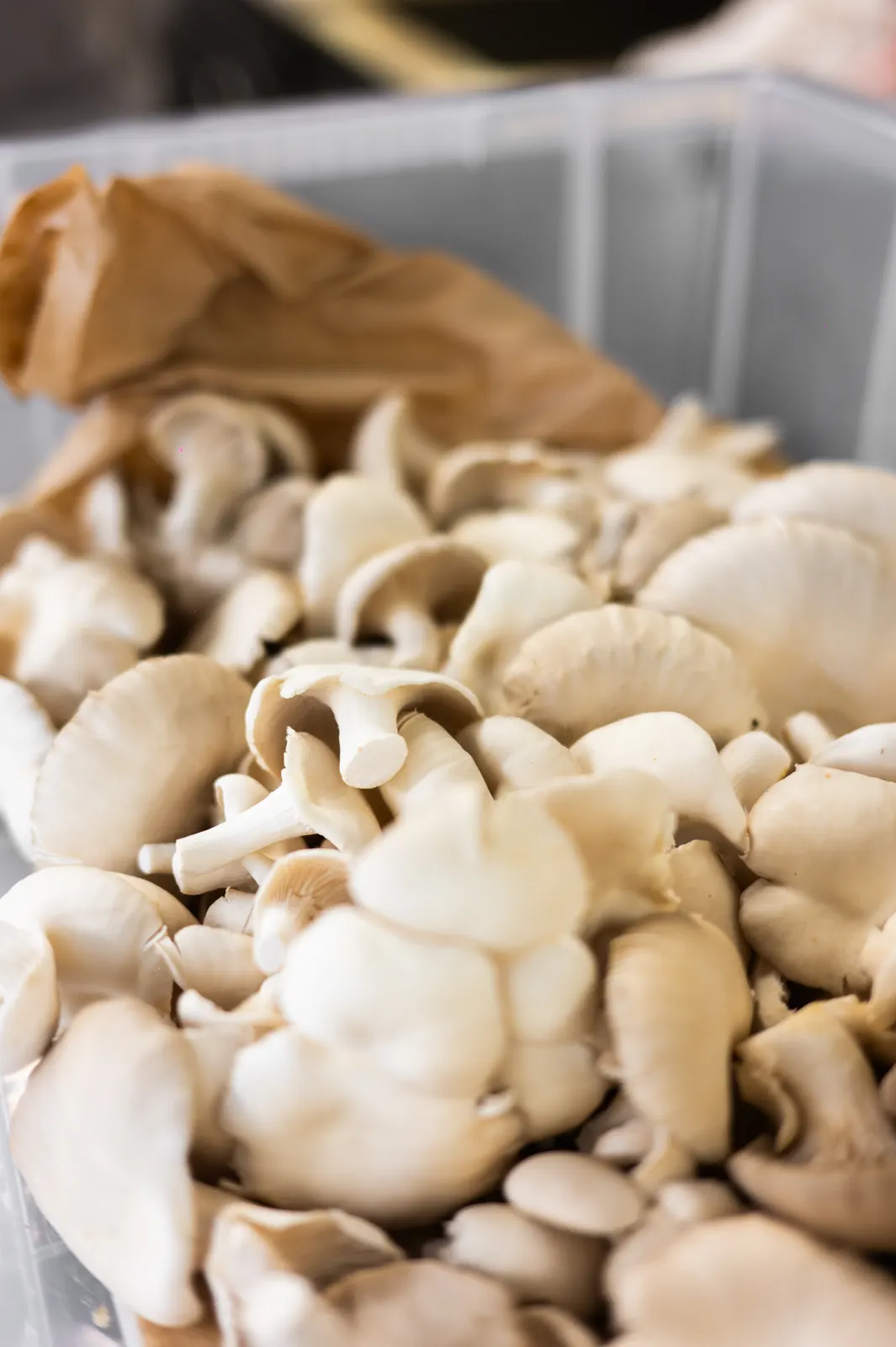 Esterre by Alain Ducasse, Tokyo : photographie de Jordan Sapally (71/125)
