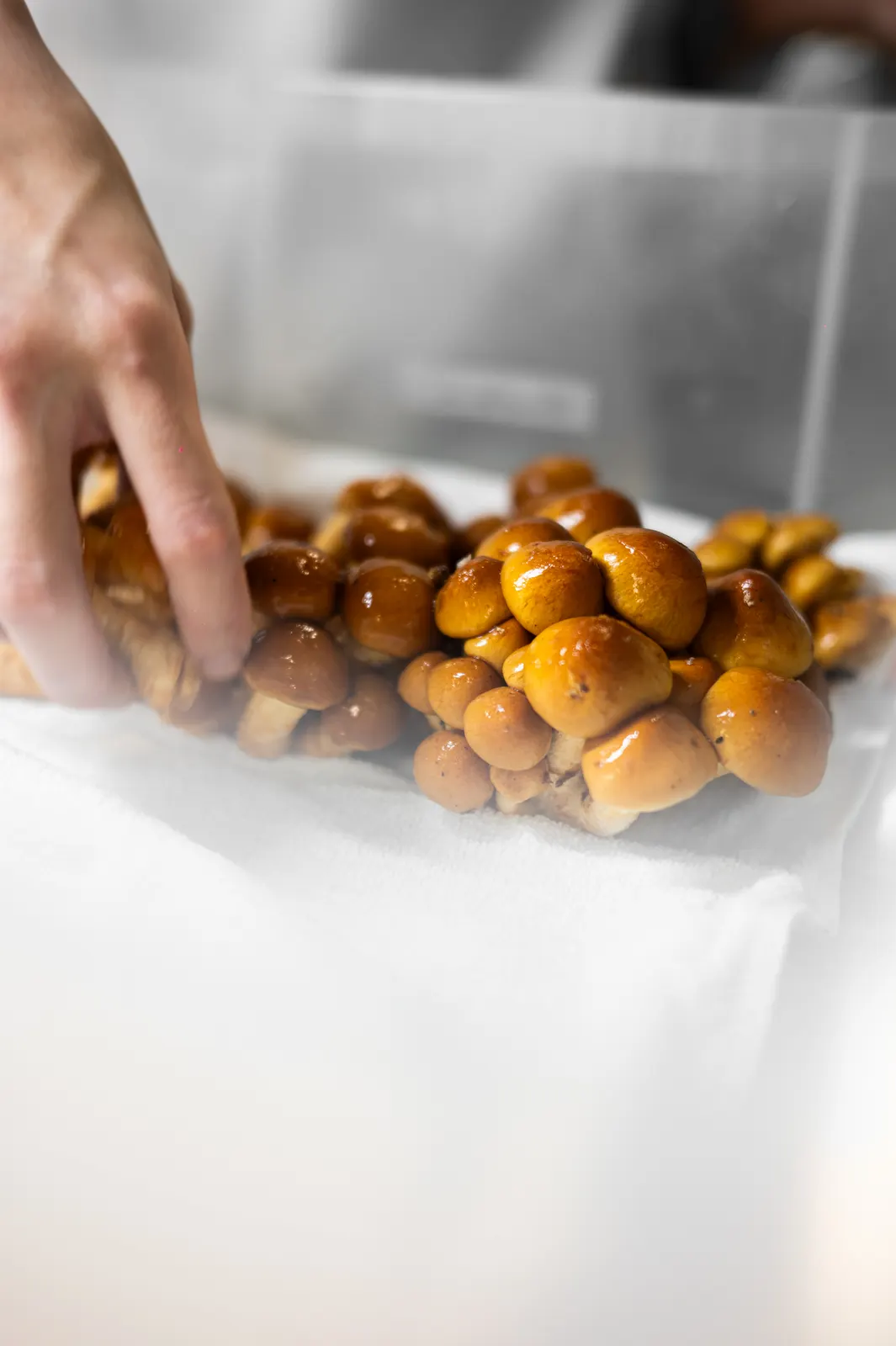 Esterre by Alain Ducasse, Tokyo : photographie de Jordan Sapally (72/125)