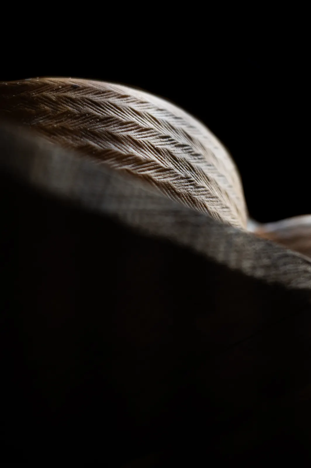 Fromagerie Mons: photograph by Jordan Sapally (4/39)