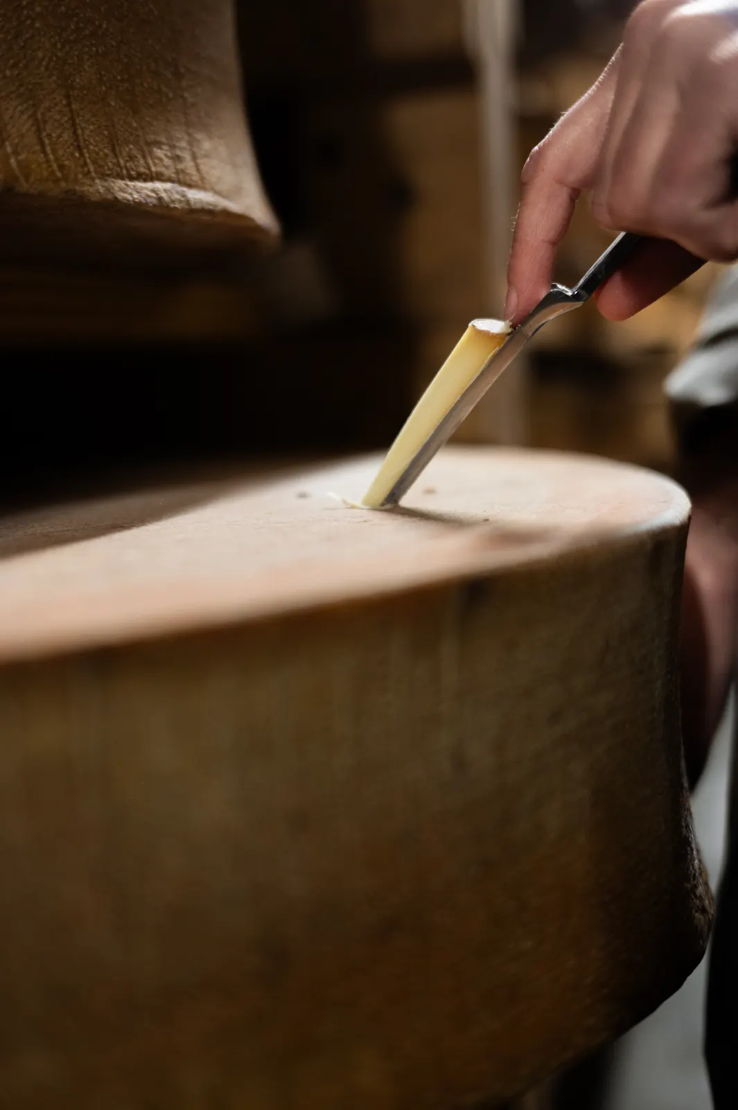 Fromagerie Mons: photograph by Jordan Sapally (13/39)