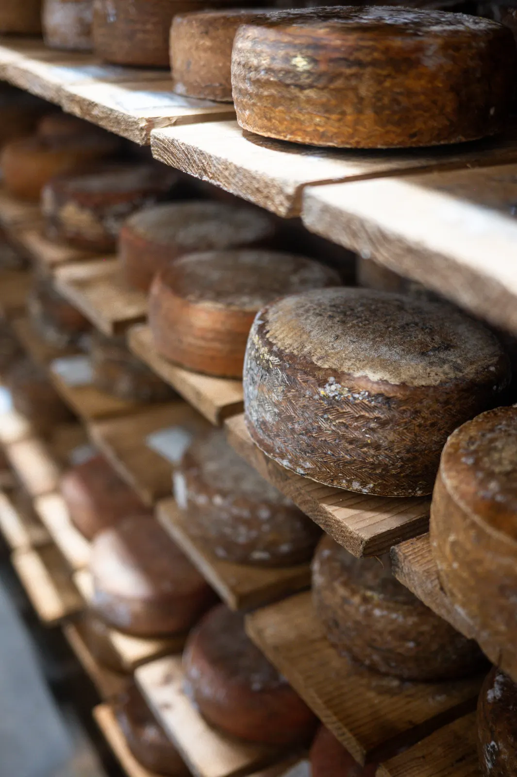 Fromagerie Mons: photograph by Jordan Sapally (32/39)