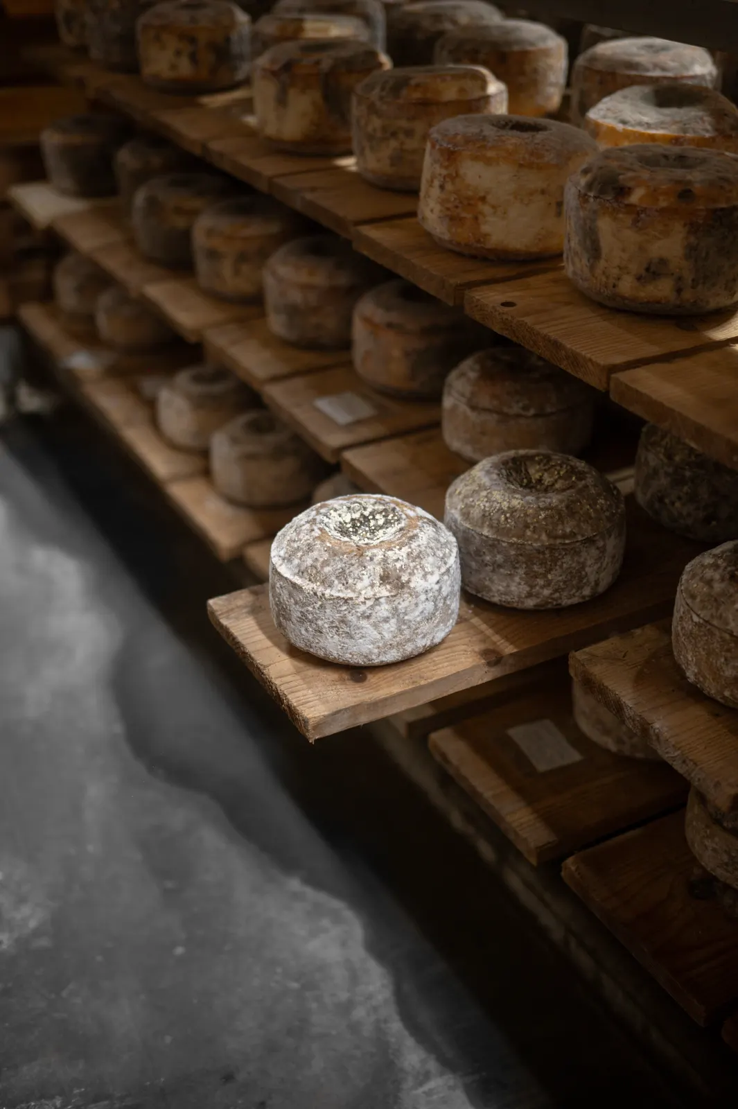 Fromagerie Mons: photograph by Jordan Sapally (33/39)