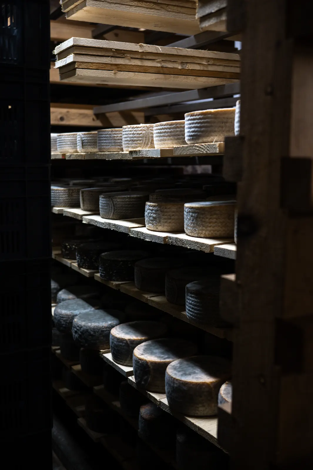 Fromagerie Mons: photograph by Jordan Sapally (38/39)