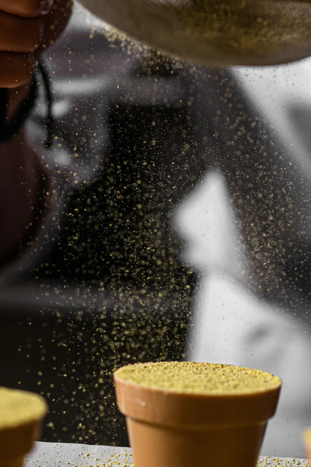 Jerome de Oliveira, Paris : photographie de Jordan Sapally (5/96)