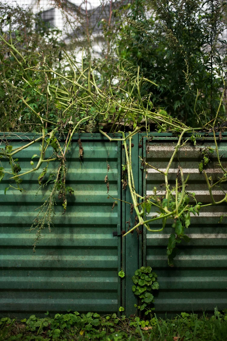 La Bastide by Andrea Calstier, New York : photographie de Jordan Sapally (50/70)