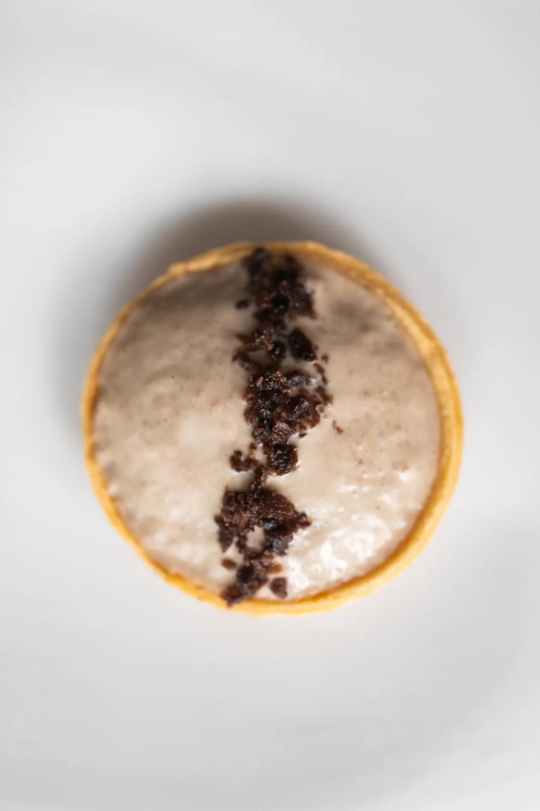 Le Chantecler, Nice : photographie de Jordan Sapally (5/160)
