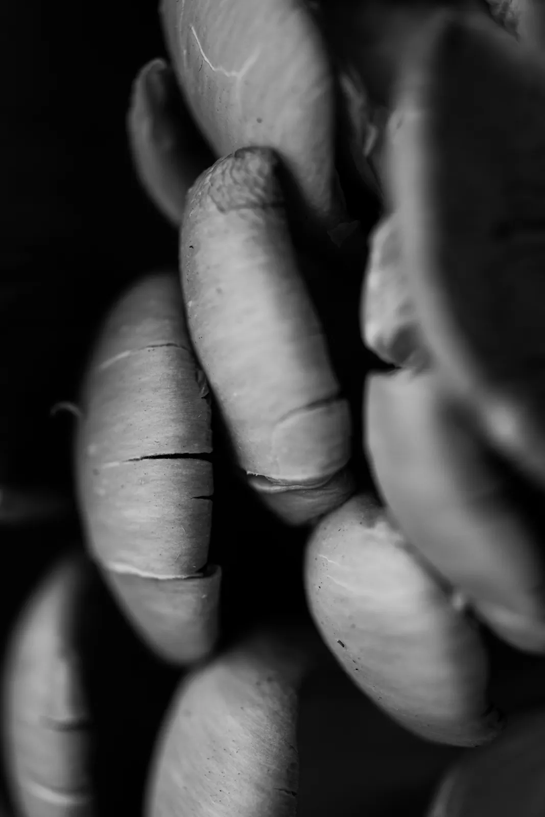 Le Chantecler, Nice : photographie de Jordan Sapally (12/160)