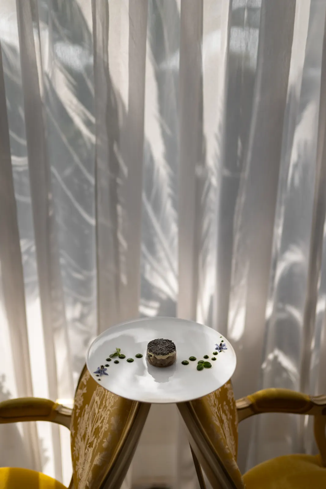 Le Chantecler, Nice : photographie de Jordan Sapally (21/160)
