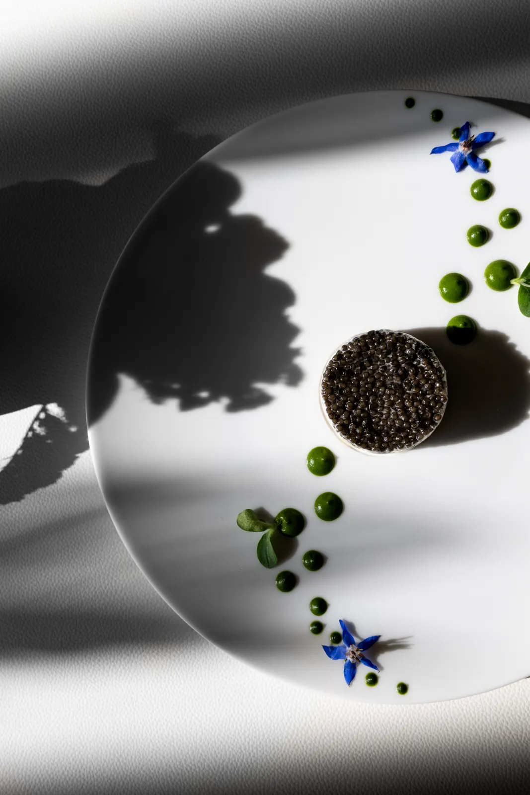 Le Chantecler, Nice : photographie de Jordan Sapally (22/160)