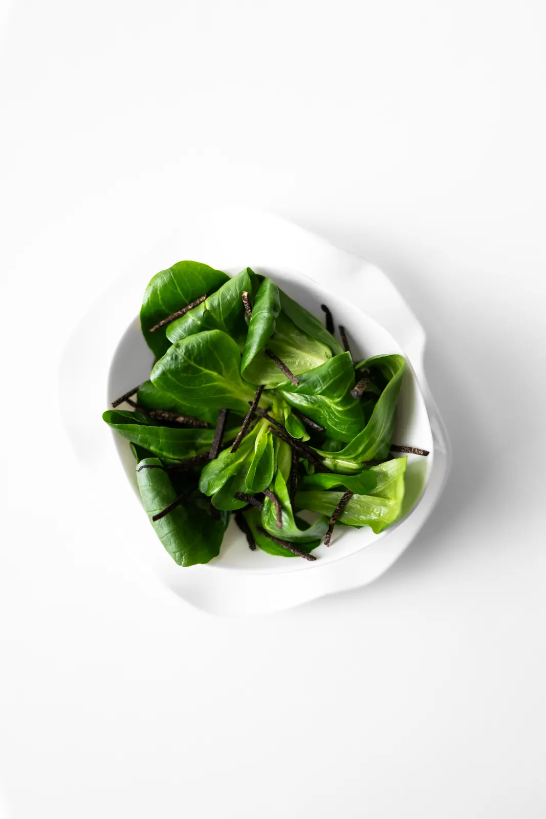 Le Chantecler, Nice : photographie de Jordan Sapally (27/160)