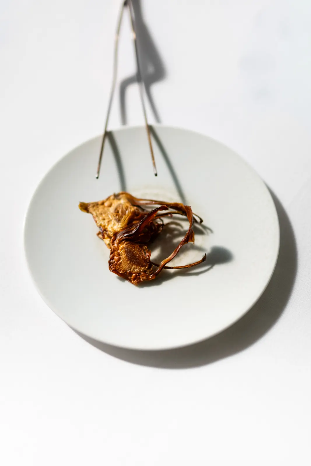 Le Chantecler, Nice : photographie de Jordan Sapally (38/160)