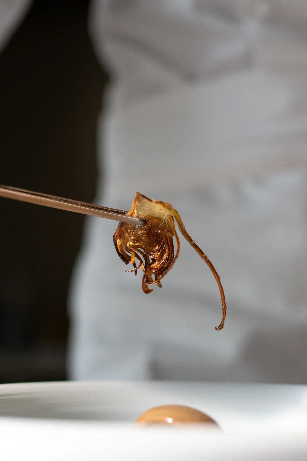 Le Chantecler, Nice : photographie de Jordan Sapally (45/160)