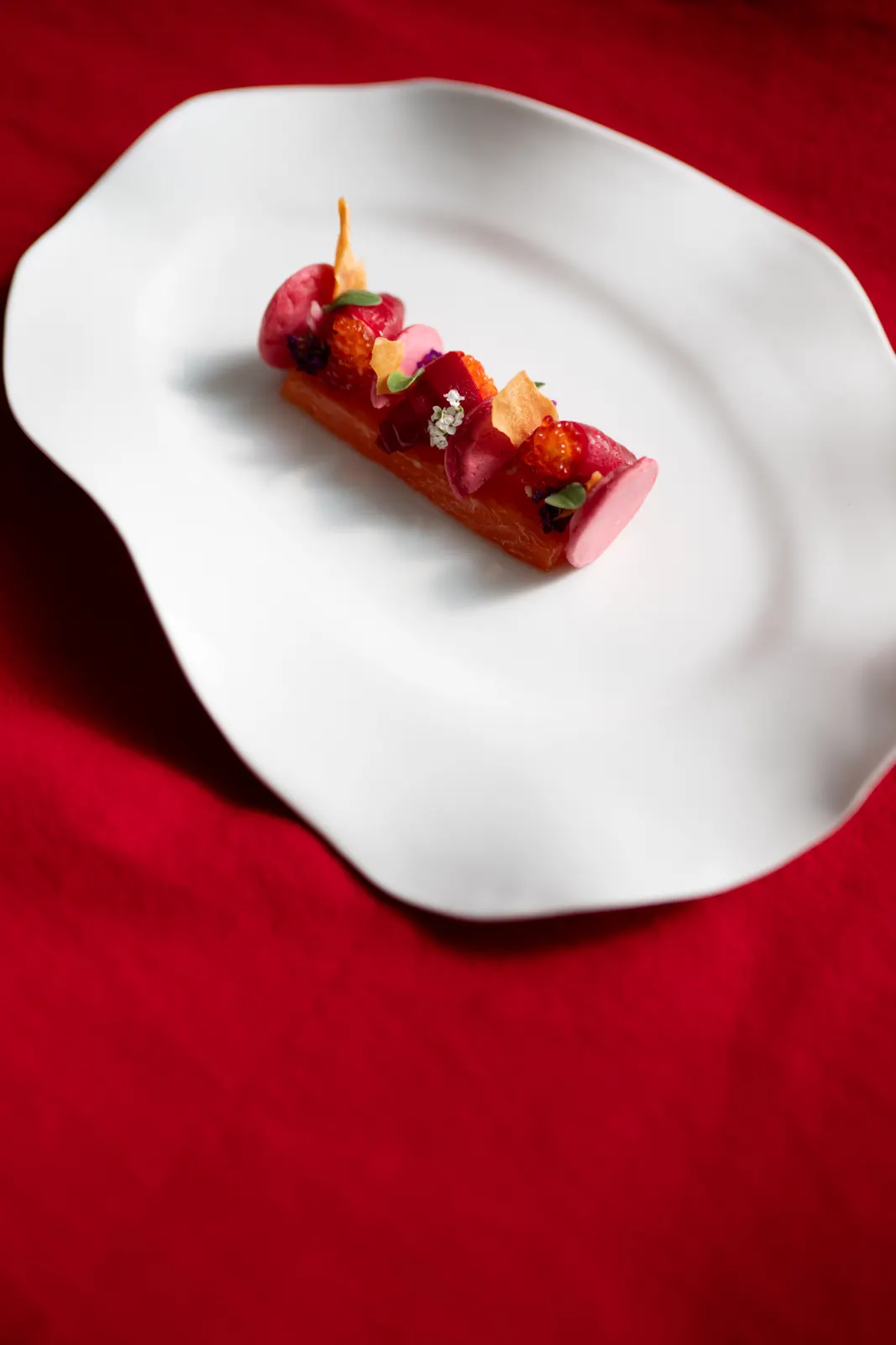 Le Chantecler, Nice : photographie de Jordan Sapally (56/160)