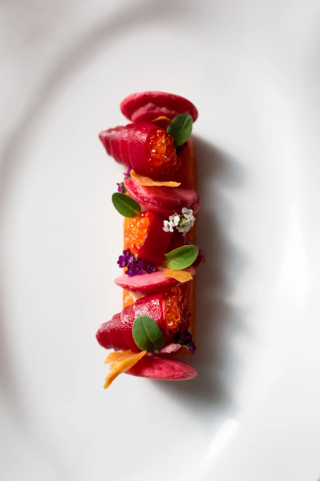 Le Chantecler, Nice : photographie de Jordan Sapally (57/160)