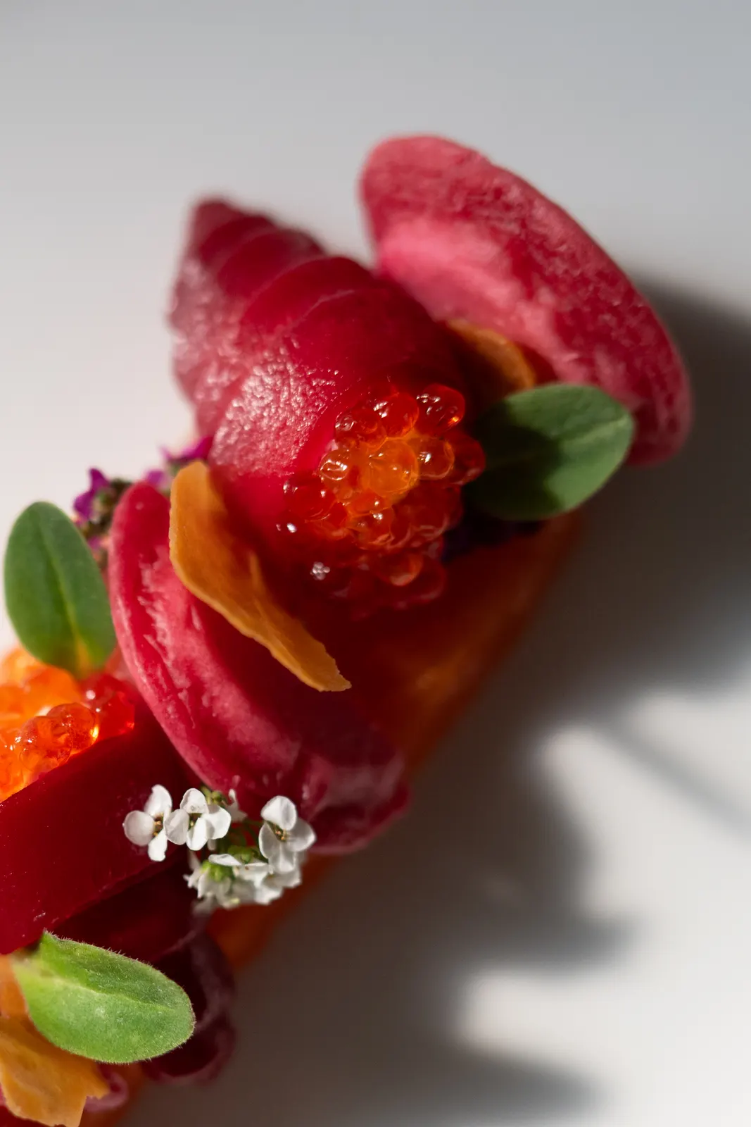 Le Chantecler, Nice : photographie de Jordan Sapally (59/160)