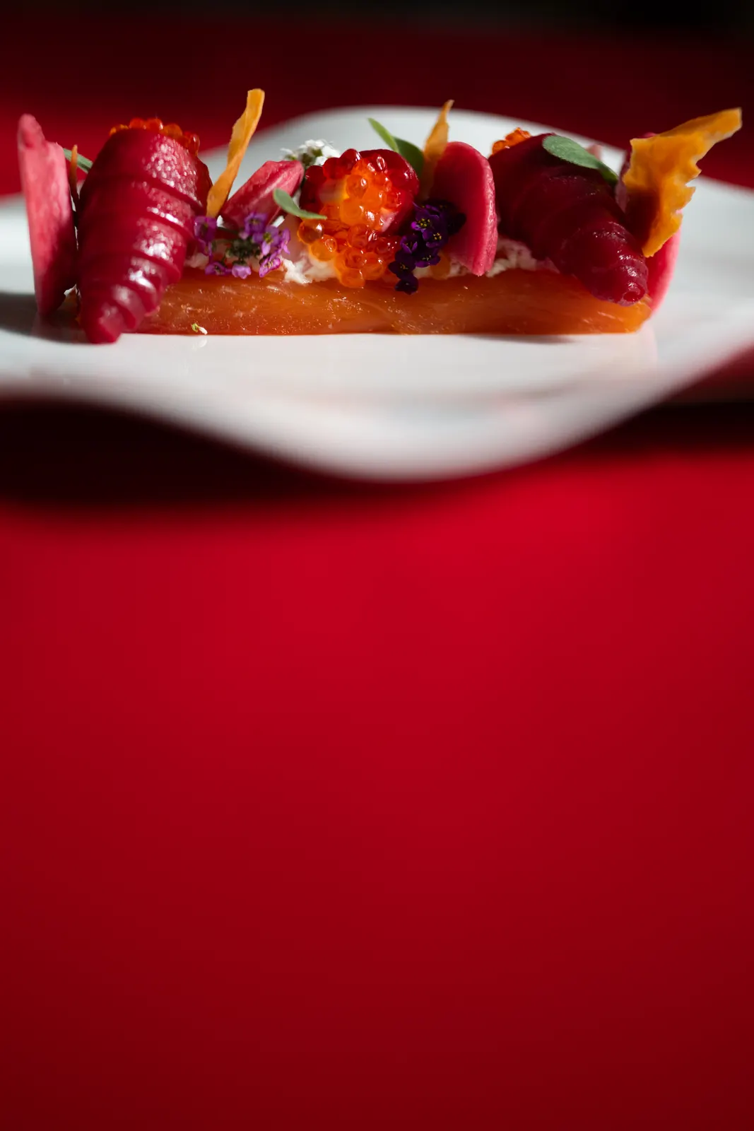 Le Chantecler, Nice : photographie de Jordan Sapally (60/160)