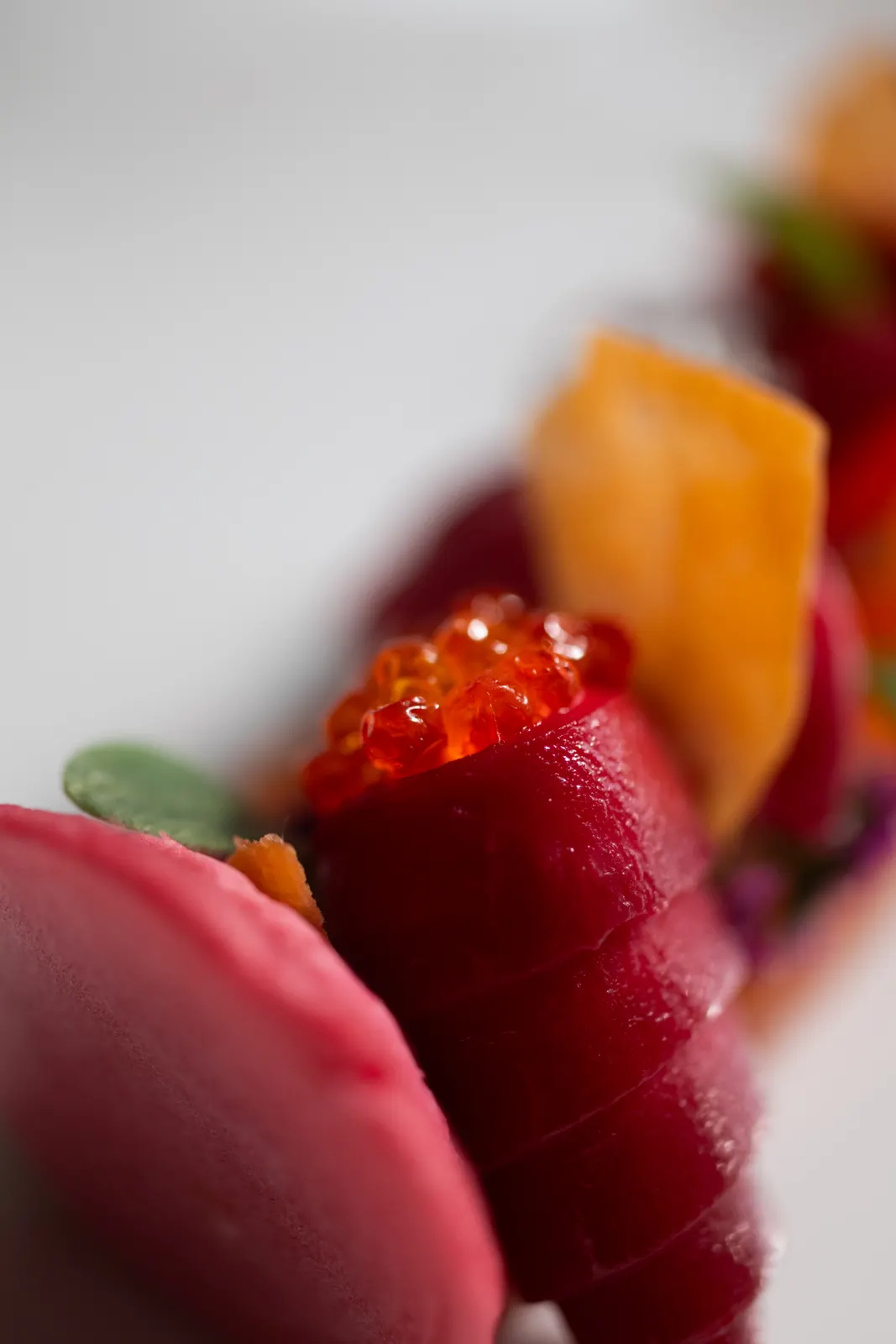 Le Chantecler, Nice : photographie de Jordan Sapally (61/160)