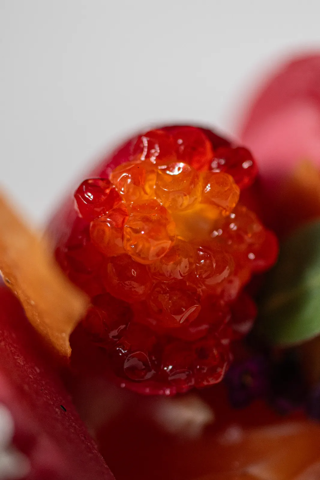 Le Chantecler, Nice : photographie de Jordan Sapally (62/160)
