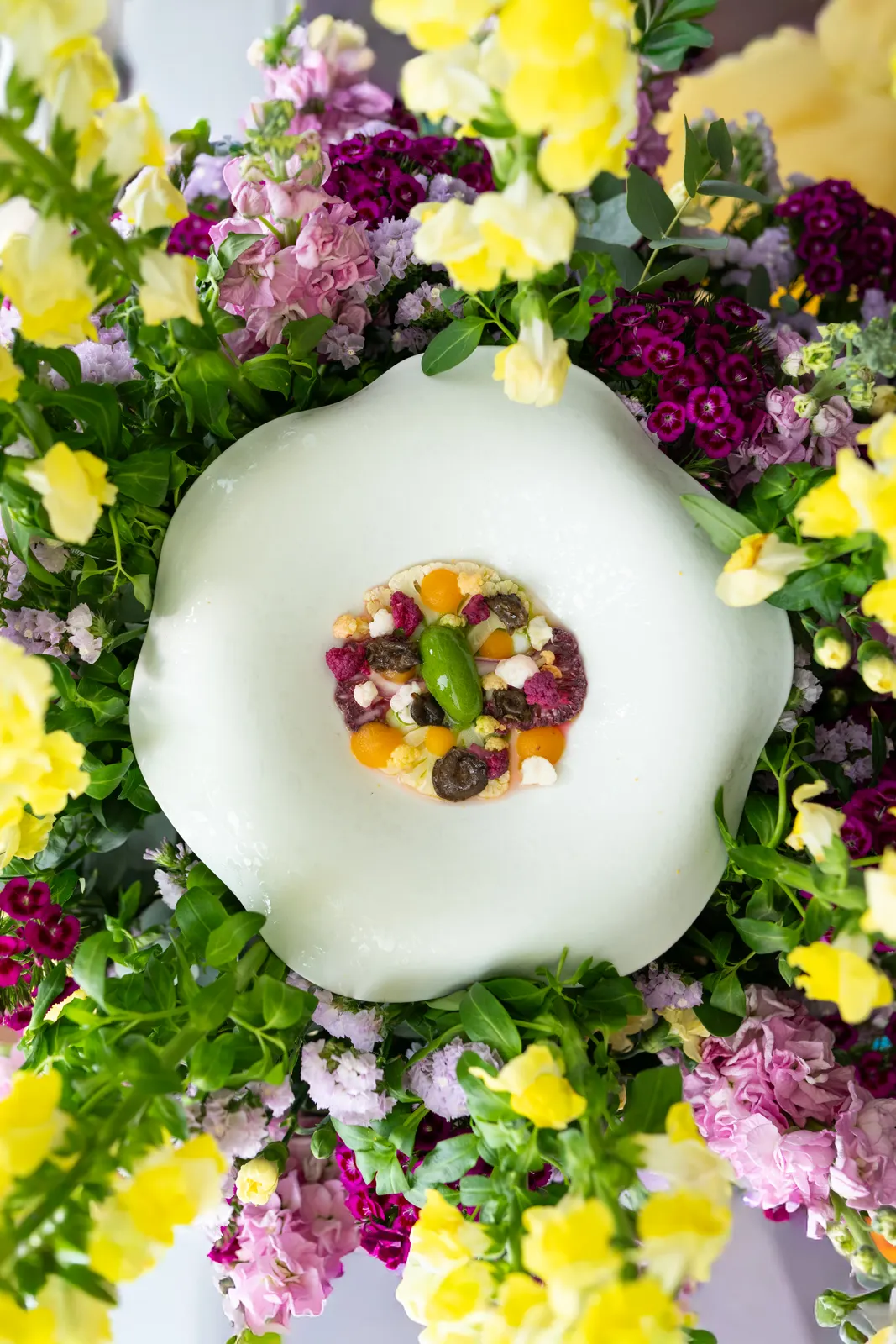 Le Chantecler, Nice : photographie de Jordan Sapally (95/160)